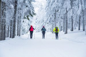 8 Places for Cross country Skiing and Snowshoeing near our Deep Creek Lake Bed and Breakfast