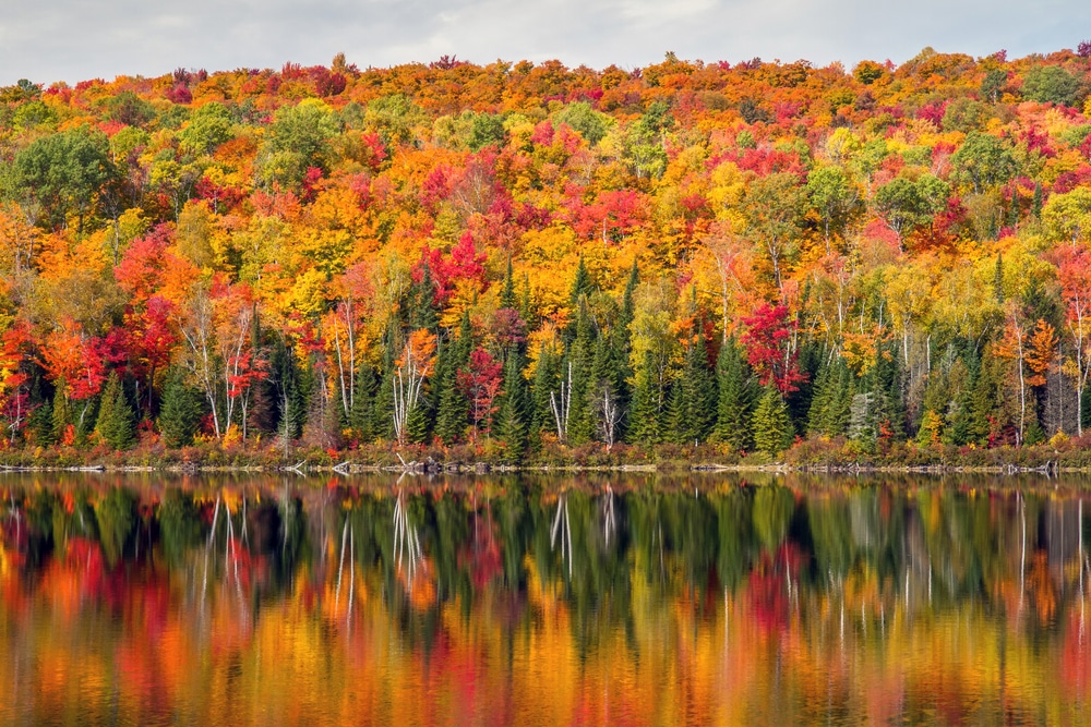 Maryland Fall Foliage